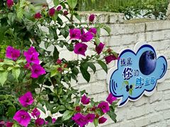 -金谷域澳洲庄园