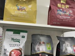 -宠颐生宠物医院外科·内科·皮肤科·影像科(石龙店)