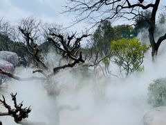 -无锡梅园公园