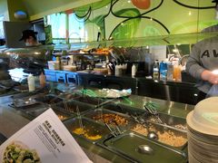 -油梨树AVOCADO TREE(望京店)