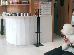 -关爱宠物医院·猫科中心·消化科(滨湖万达分院)