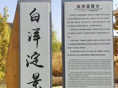 -白洋淀风景区