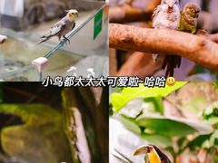 -正佳雨林生态植物园