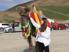 -青海湖国家重点风景名胜区