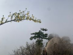 -华山风景名胜区