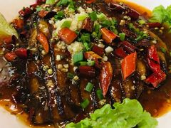 -庆合府重庆大排档(紫都城店)
