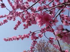 -陕西省西安植物园