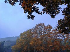 -南山风景名胜区