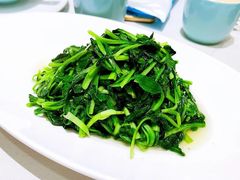 -蝶园·装修中(BFC外滩金融中心店)