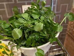 -丫丫汤膳打边炉(宏府408坊店)