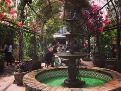 -The Grounds of Alexandria