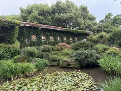 -中国茶叶博物馆(双峰馆区)