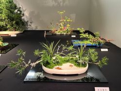 -今日陶艺(富力广场店)