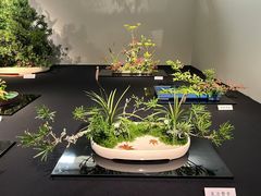 -今日陶艺(富力广场店)