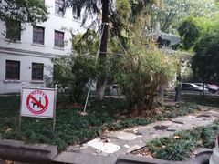 -中南财经政法大学(首义校区)