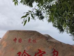 -珍宝岛