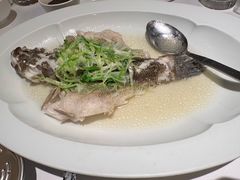 黄笋壳鱼-荣兴酒家(徐家汇店)