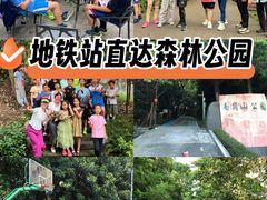 -南岗山公园