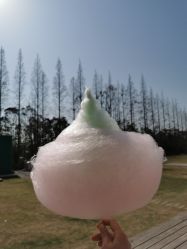 -前小桔亲子创意农场·草莓采摘·露营烧烤