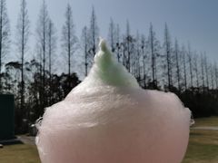 -前小桔亲子创意农场·草莓采摘·露营烧烤