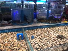 -一方渔歌蒸汽海鲜自助(文化路万达广场店)