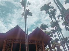 -海南槟榔谷黎苗文化旅游区