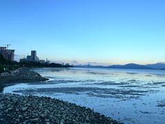 -深圳湾公园(南山区)