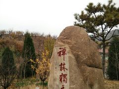 -遵化市禅林寺古银杏风景园