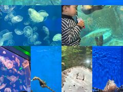 -福州罗源湾海洋世界旅游区