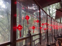 -巴倒烫陆派重庆火锅(南山店)