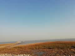 -南汇嘴观海公园