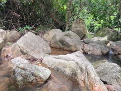 -东莞市大岭山森林公园
