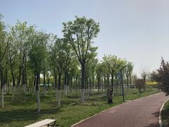 -天津东丽湖风景区