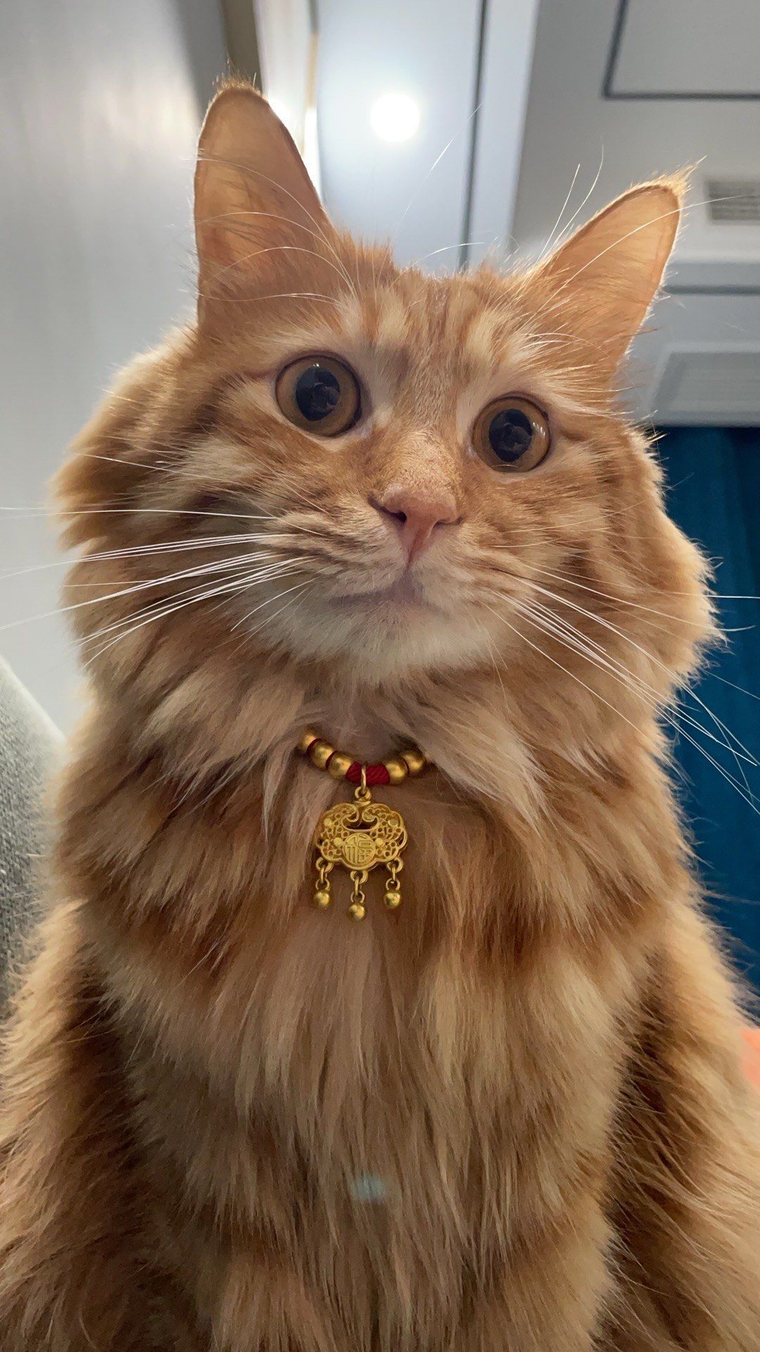 大金链子大金表一天三顿小烧烤