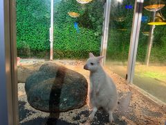 -常州海昌海洋探索馆