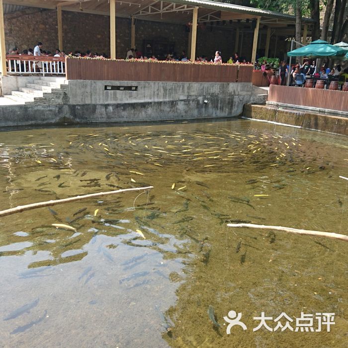 顺通虹鳟鱼养殖中心
