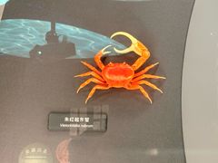 -中国湿地博物馆