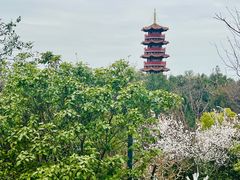 -云龙山