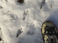 -终南山南五台景区