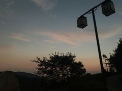 -铁山坪森林公园