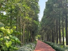 -上海长兴岛郊野公园