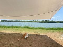 -春花秋色城市公园