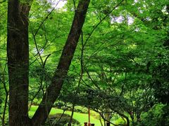 -中国茶叶博物馆(双峰馆区)