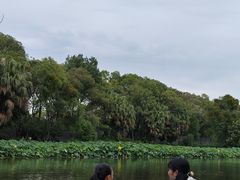 -桂湖森林公园