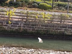 -府河摄影公园
