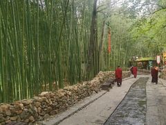 -竹泉村旅游度假区