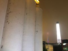 -珠江琶醍
