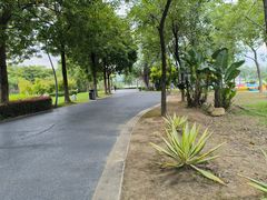-琅岐红光湖公园