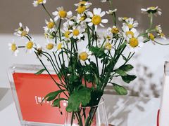 -代数学家algebraist(诚品店)