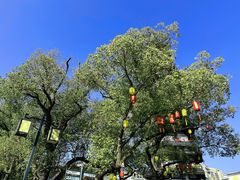 -安亭老街